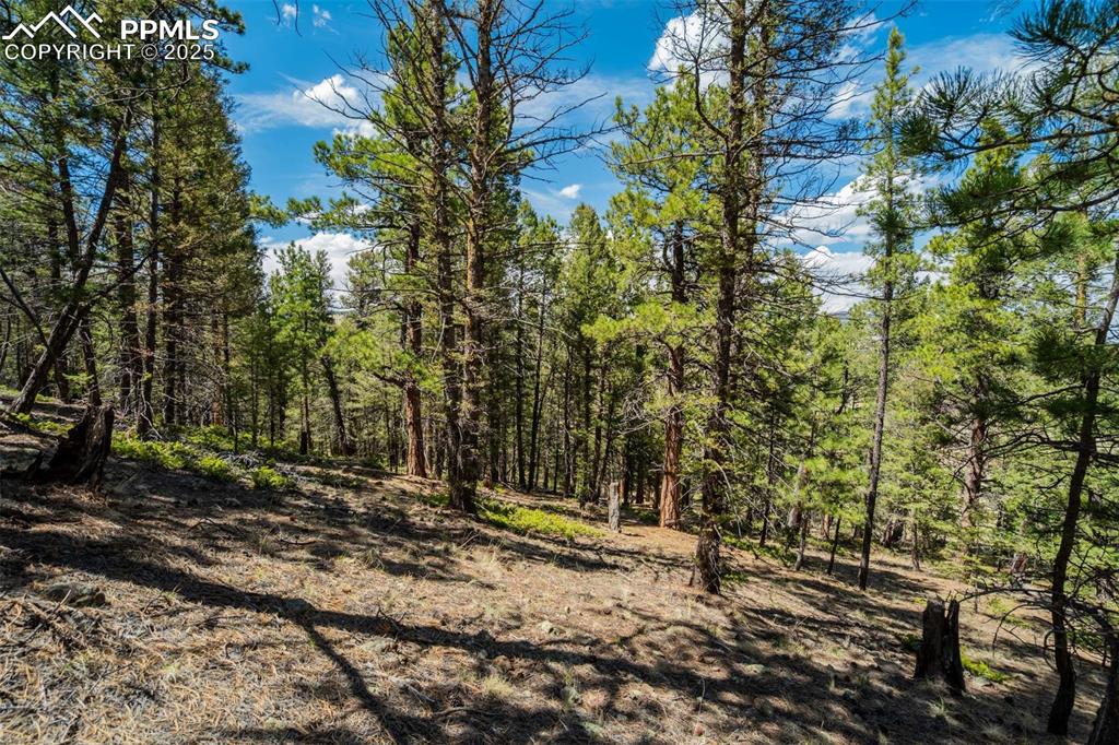 Image 14 of 36: Other