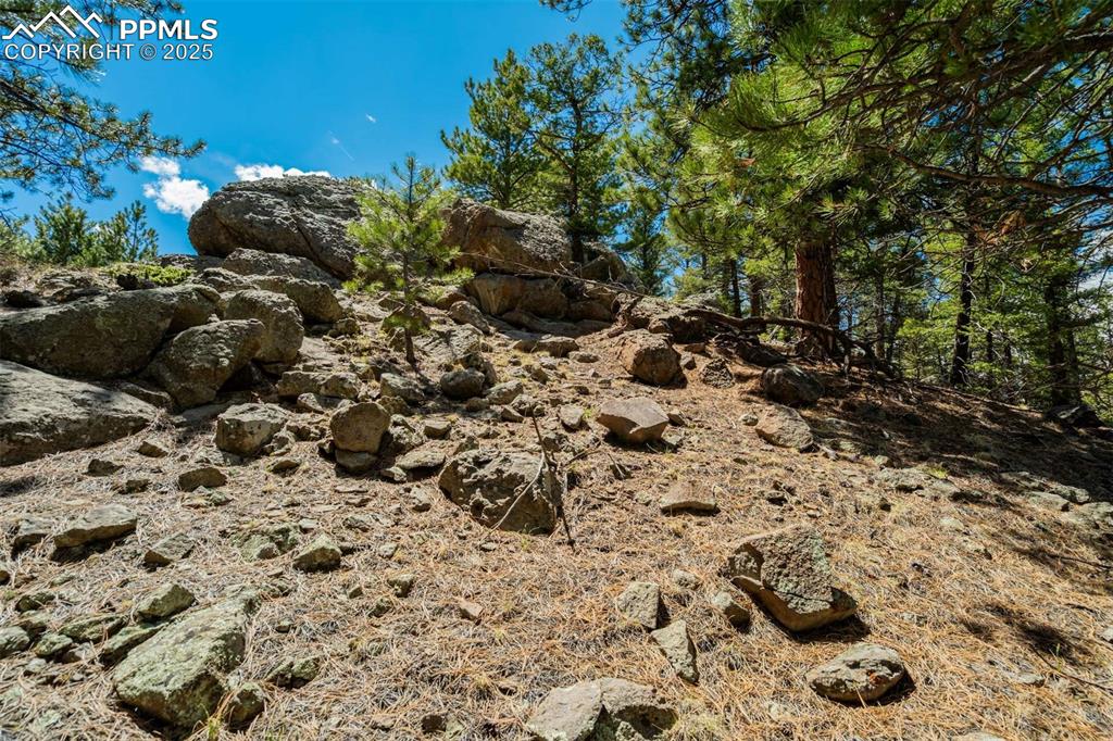 Image 15 of 36: Other