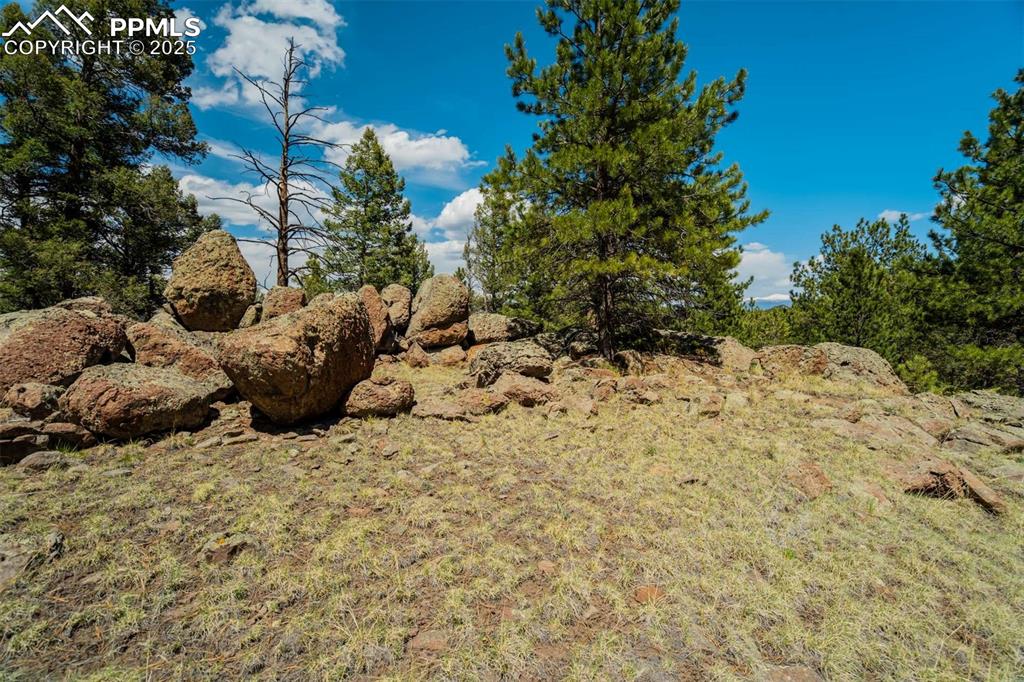 Image 16 of 36: Other