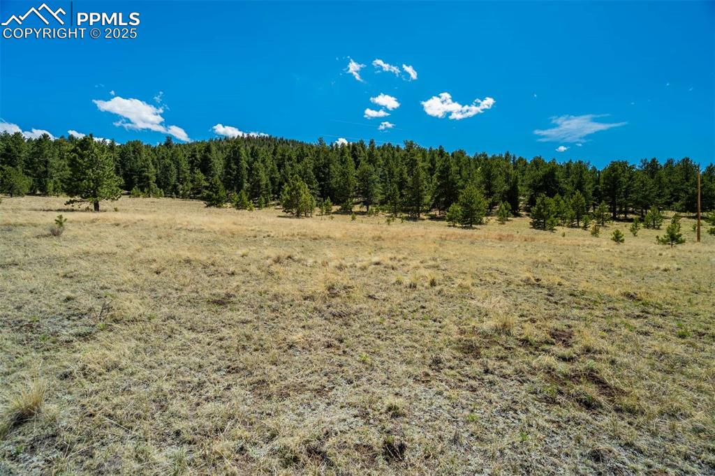 Image 18 of 36: Other