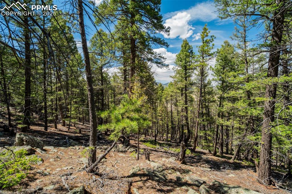 Image 2 of 36: Other