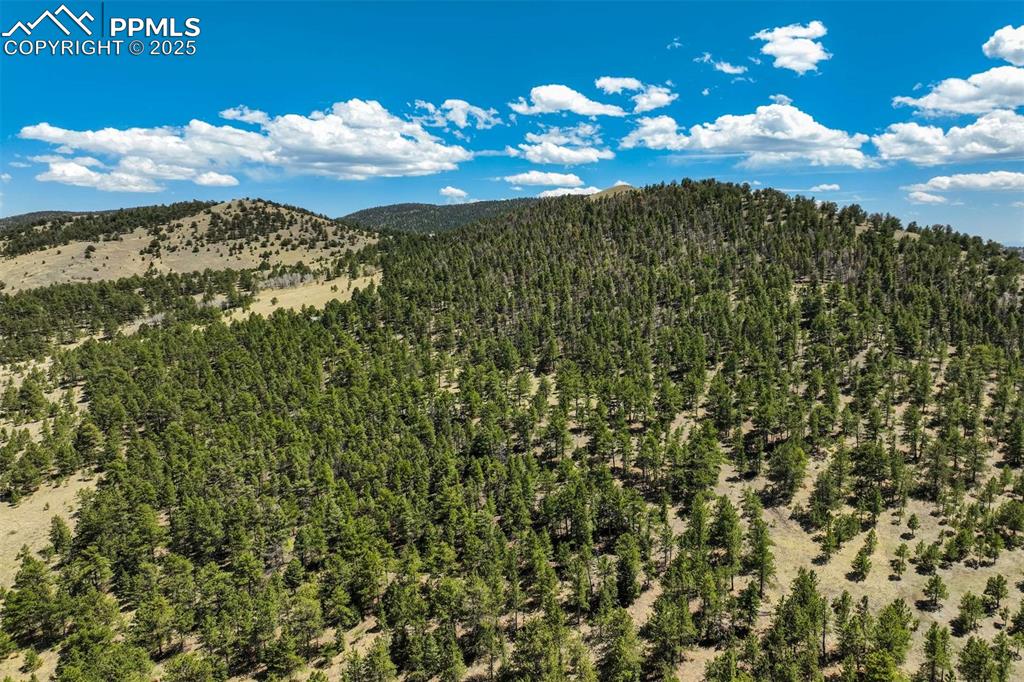 Image 21 of 36: View