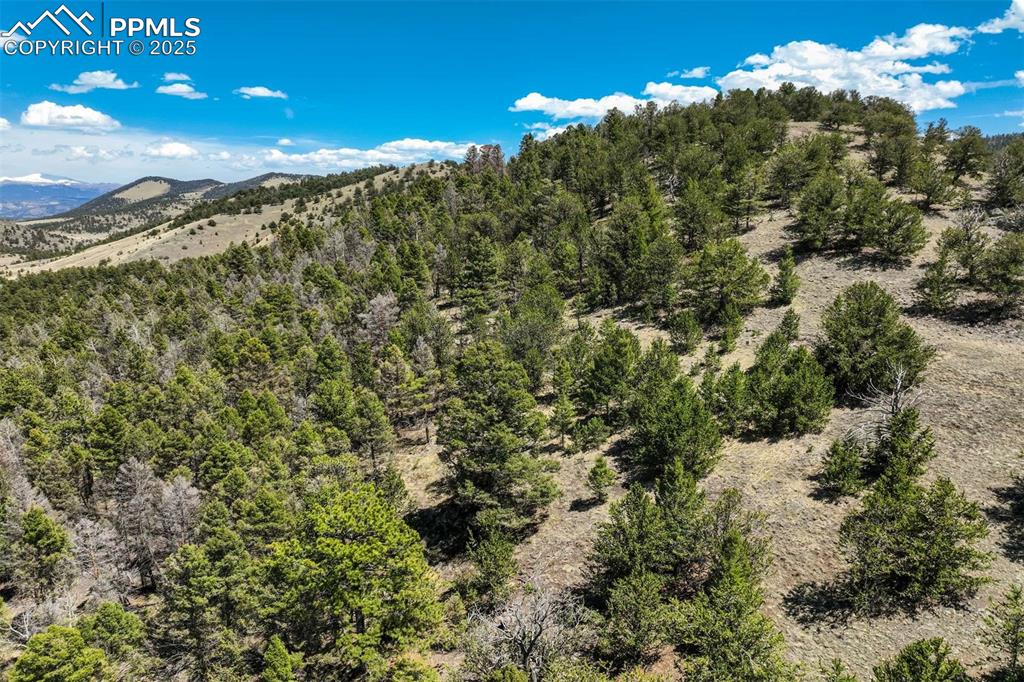 Image 27 of 36: View