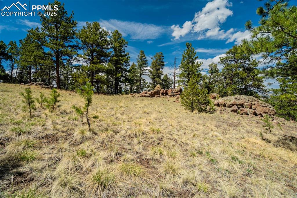 Image 3 of 36: Other