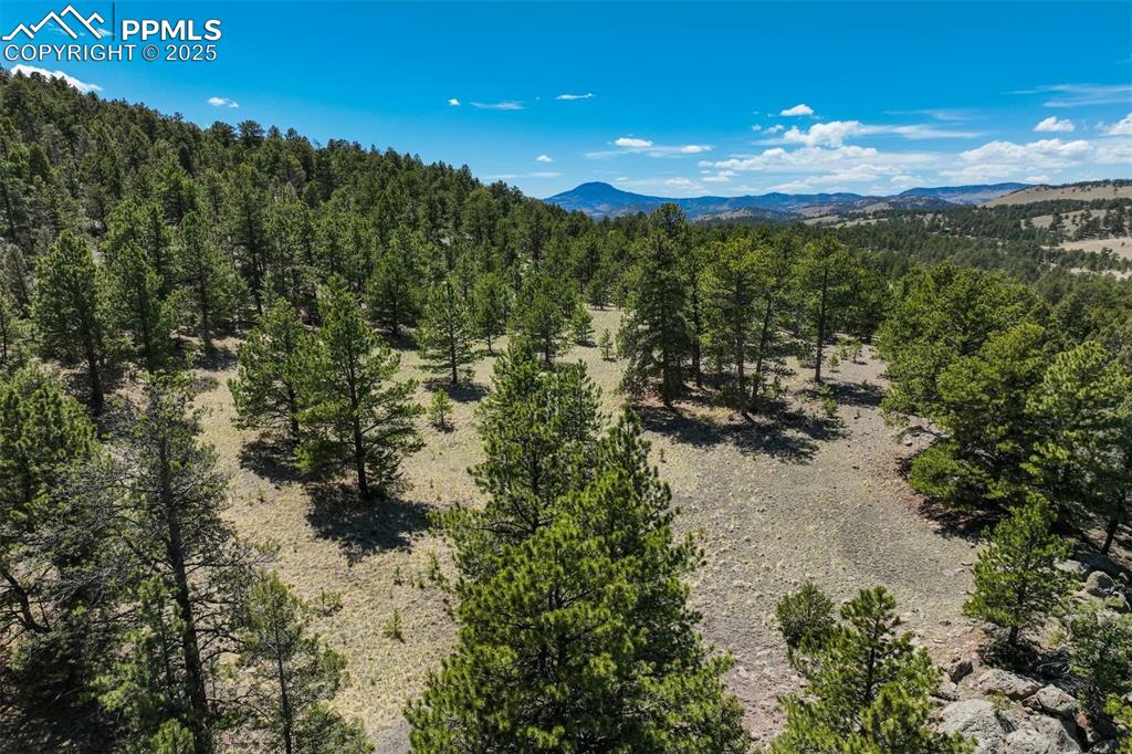 Image 31 of 36: View