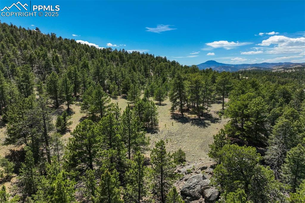 Image 33 of 36: View