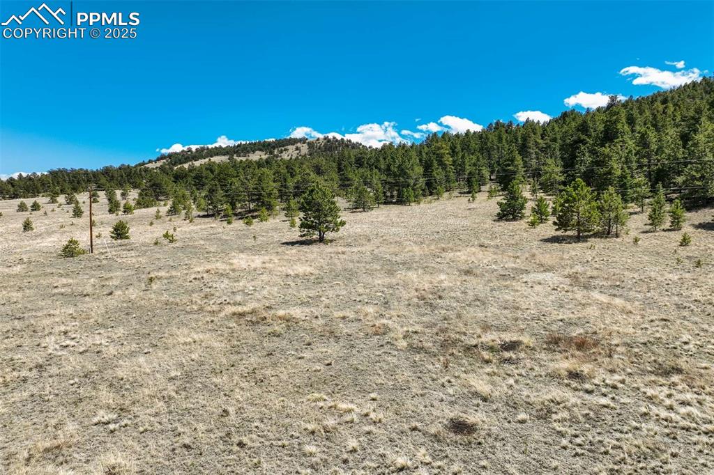 Image 35 of 36: Other