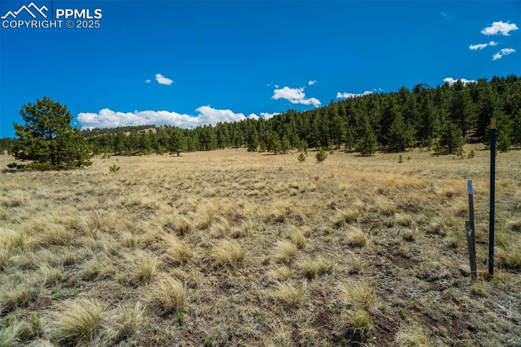 Image 4 of 36: Other