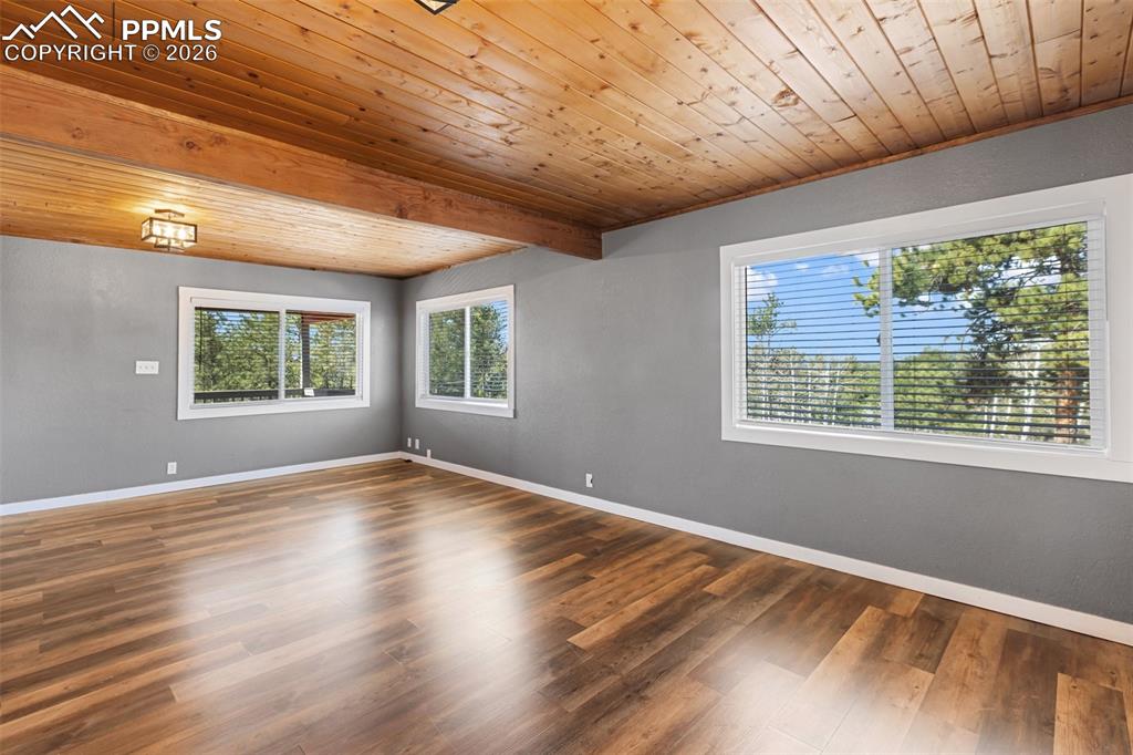 Image 13 of 50: Other