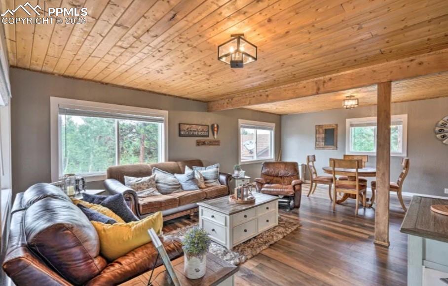 Image 48 of 50: Living Room