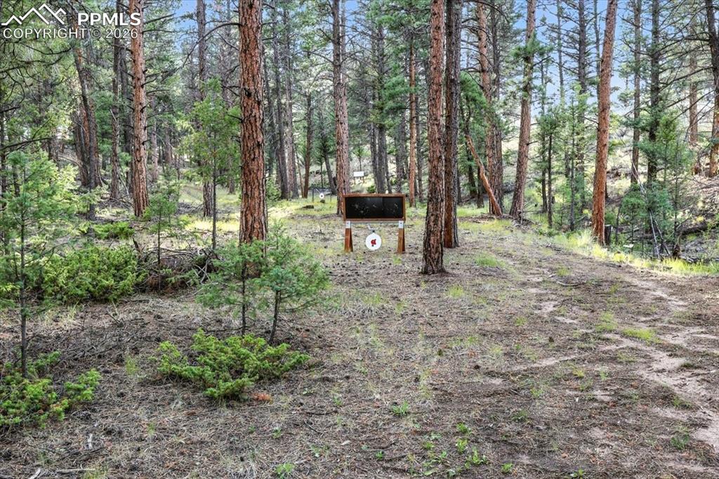 Image 47 of 49: Yard