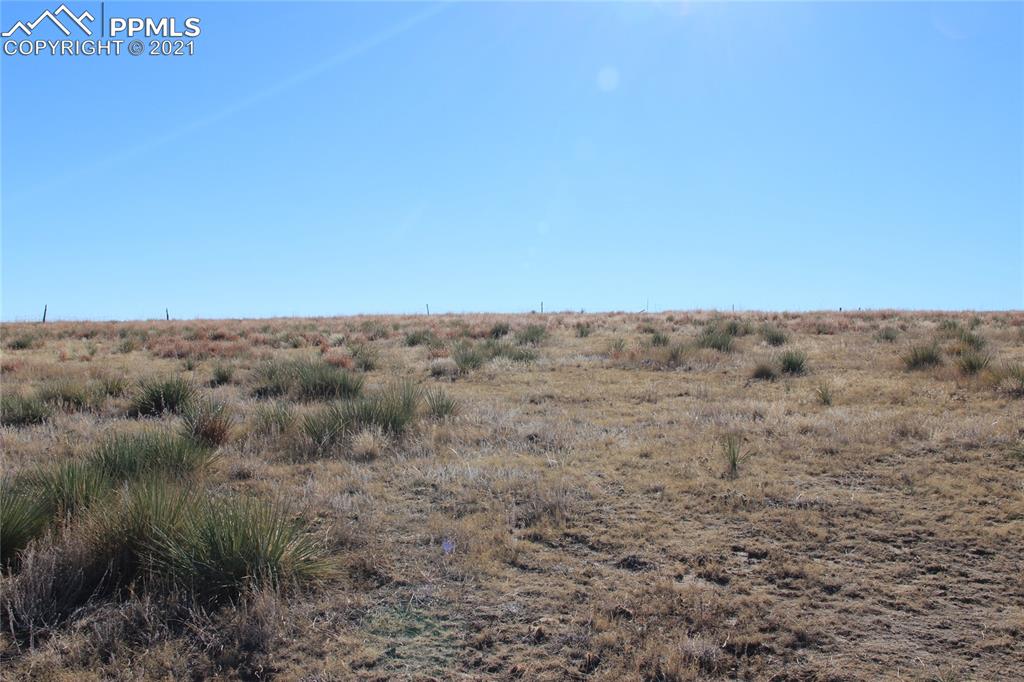 Image 3 of 11: No Description Available