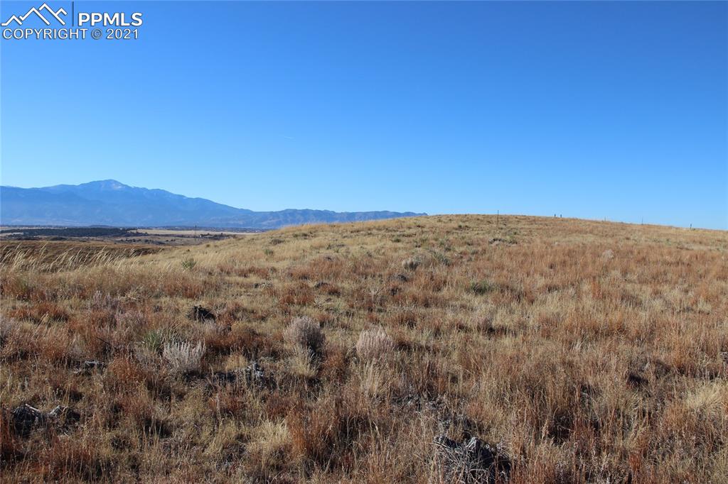 Image 9 of 11: No Description Available