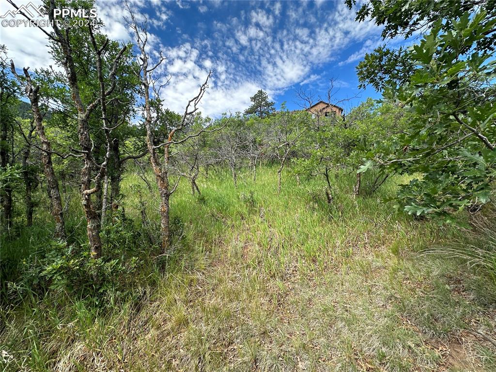 Image 13 of 22: Top of one potential driveway option looking at the build site!