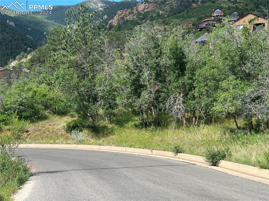 Image 14 of 22: Looking across Crystal Park Road at one option for the future driveway.