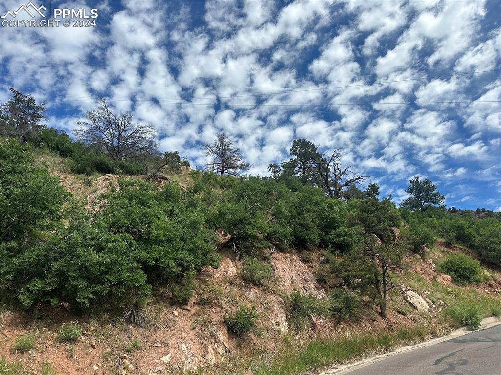 Image 15 of 22: Looking up at the South side of the lot from Crystal Park Rd