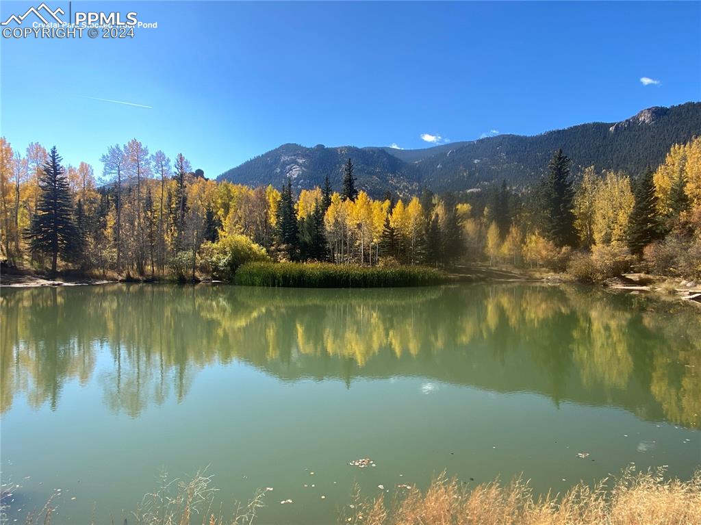 Image 16 of 22: Community trout pond that doubles as an ice rink in the winter!