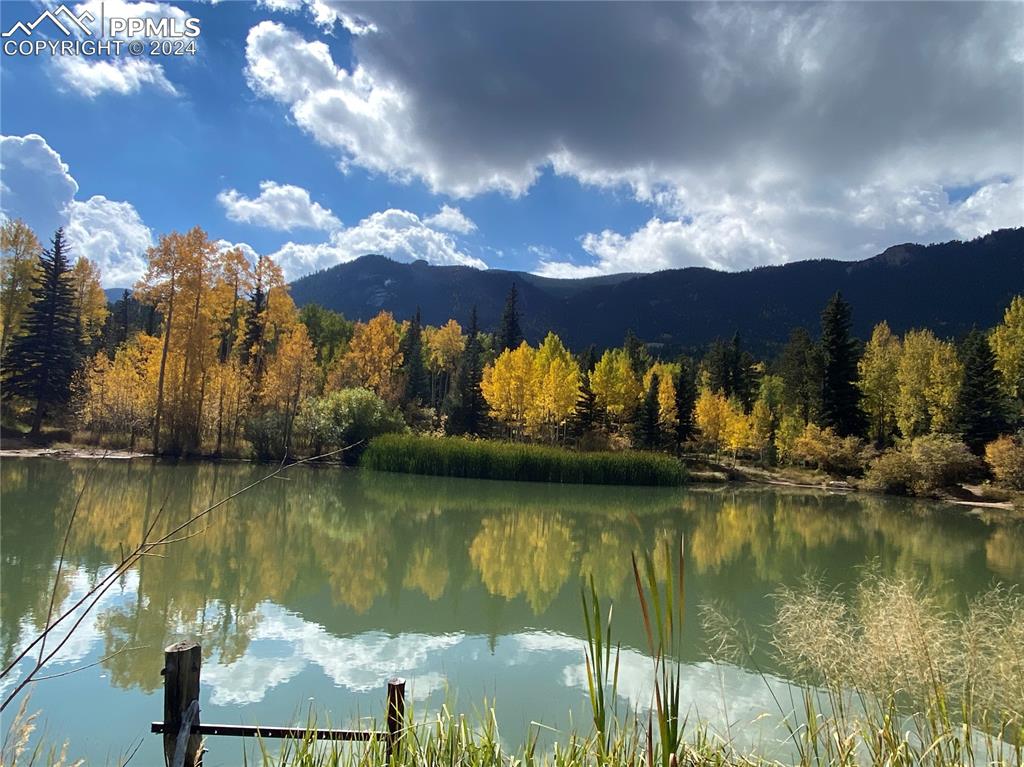 Image 20 of 22: Another view of the stocked trout pond
