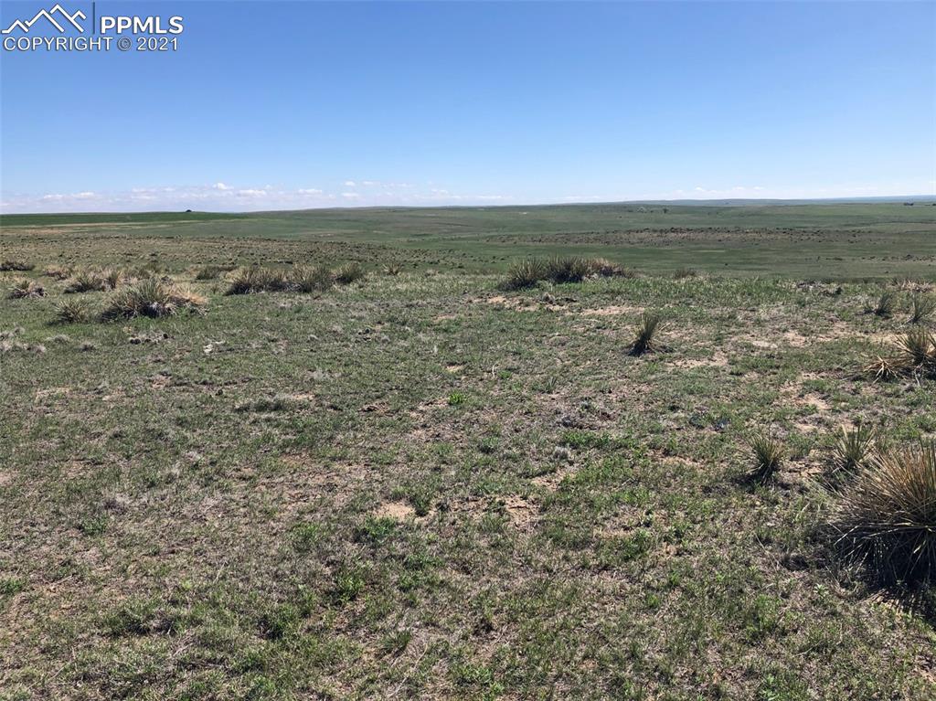 Image 11 of 18: No Description Available