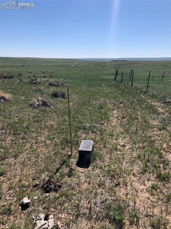 Image 16 of 18: No Description Available