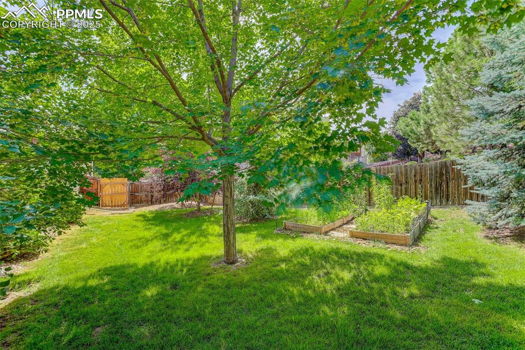 Image 42 of 45: Yard