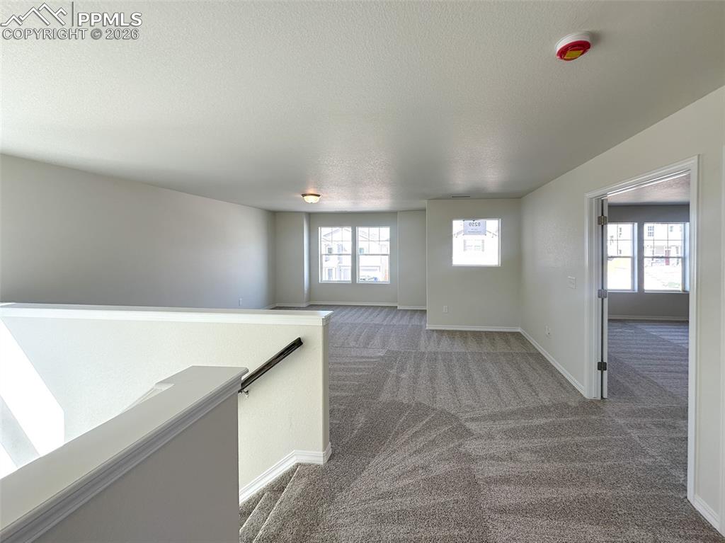 Image 32 of 36: Other