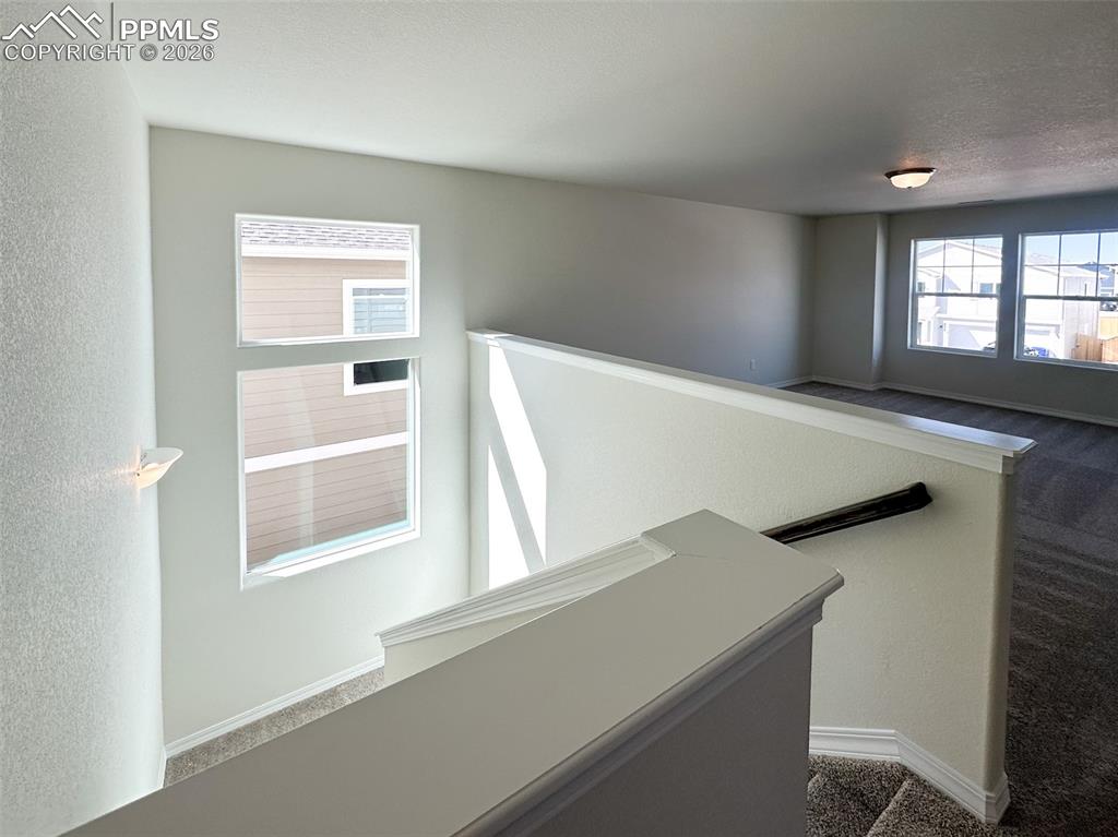 Image 33 of 36: Other