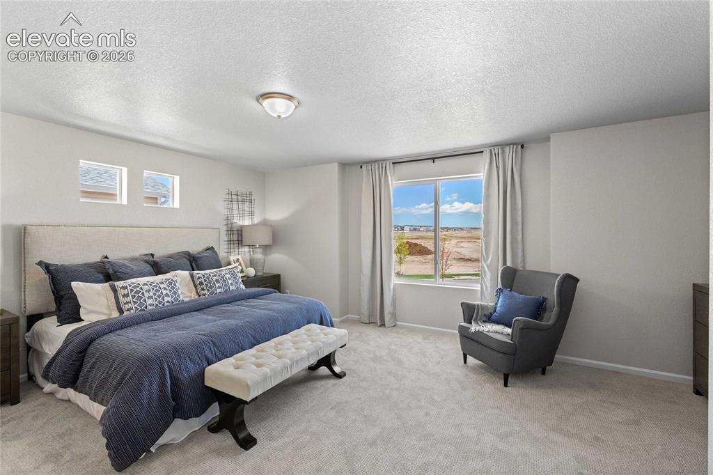 Image 16 of 25: Carpeted flooring, white walls, large window with natural light, two high t