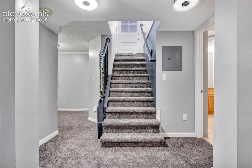 Image 23 of 39: New carpet, understair storage