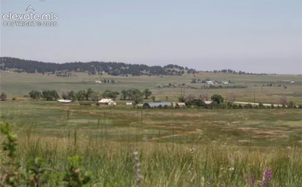 Image 5 of 14: Other