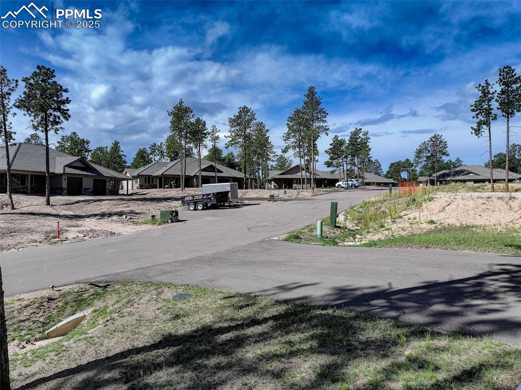 Image 31 of 32: View of asphalt road