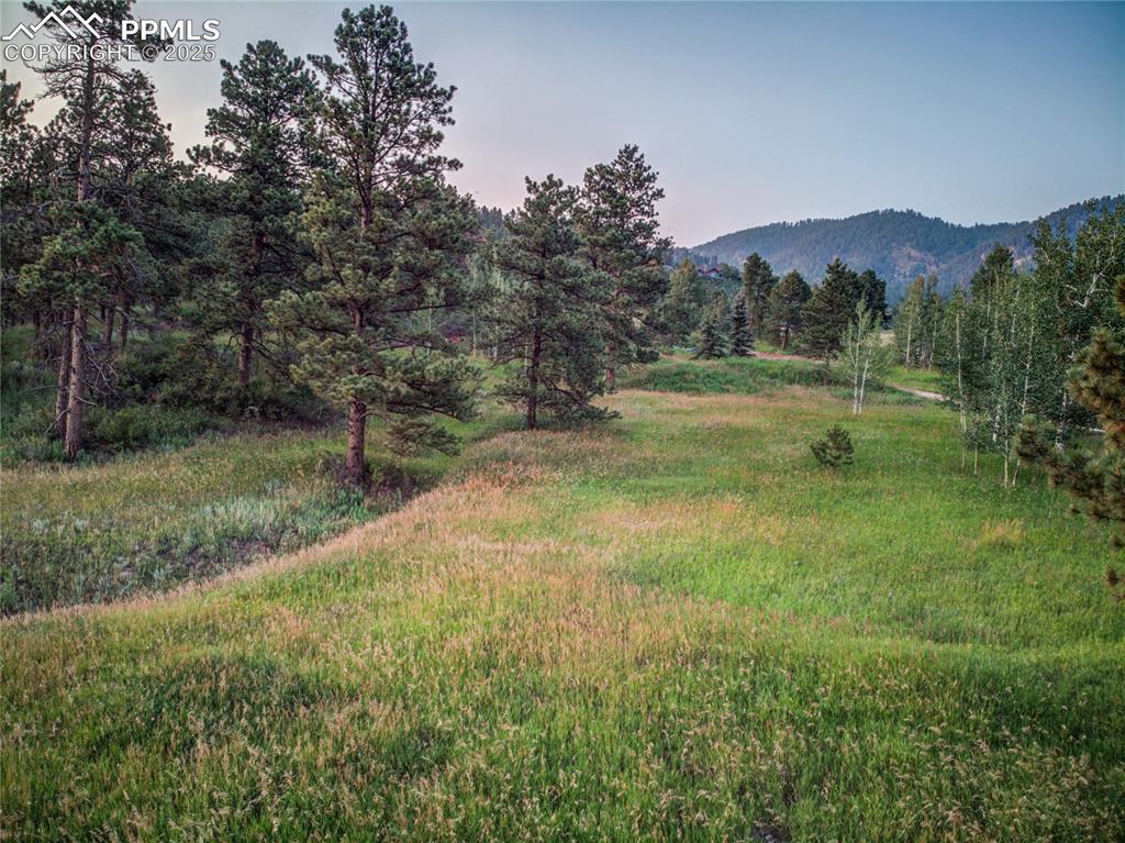 Image 15 of 22: Yard