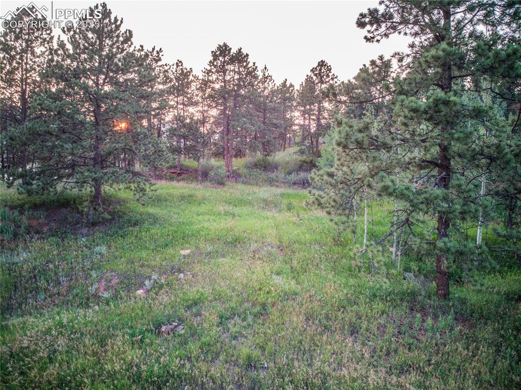 Image 16 of 22: Other