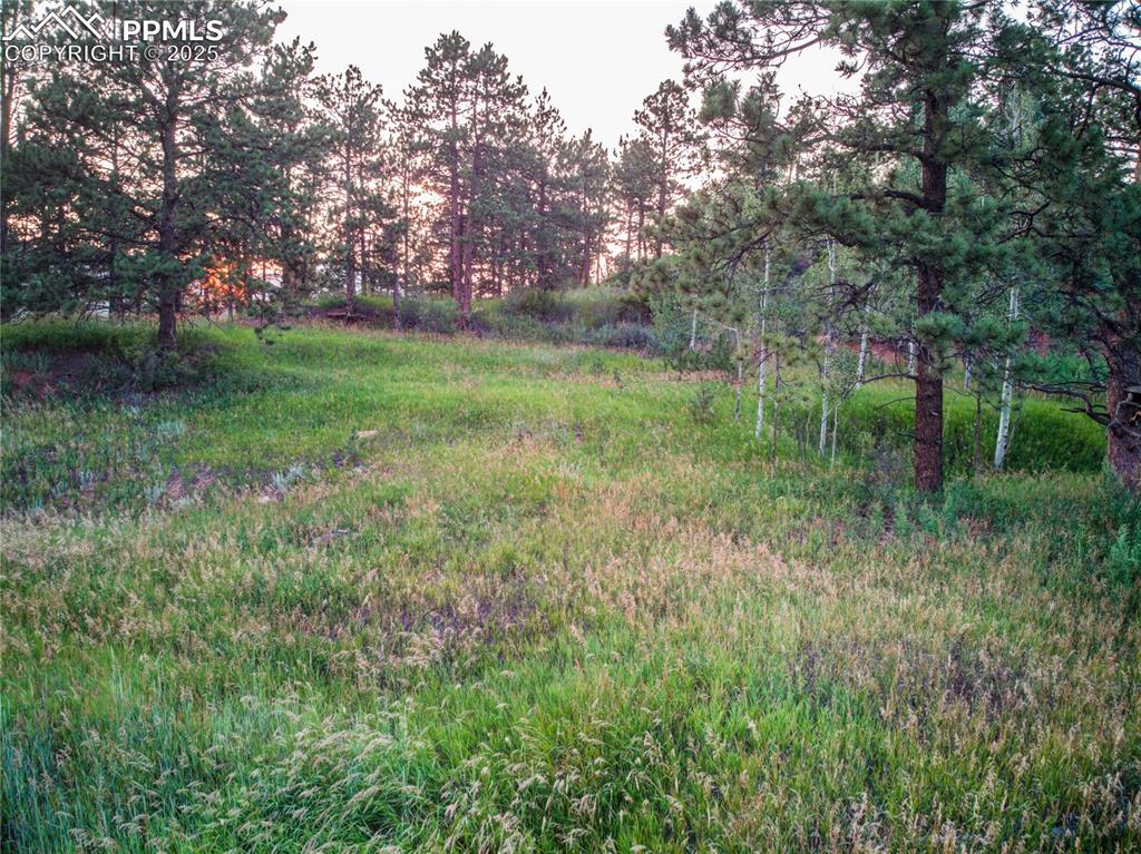 Image 17 of 22: Yard