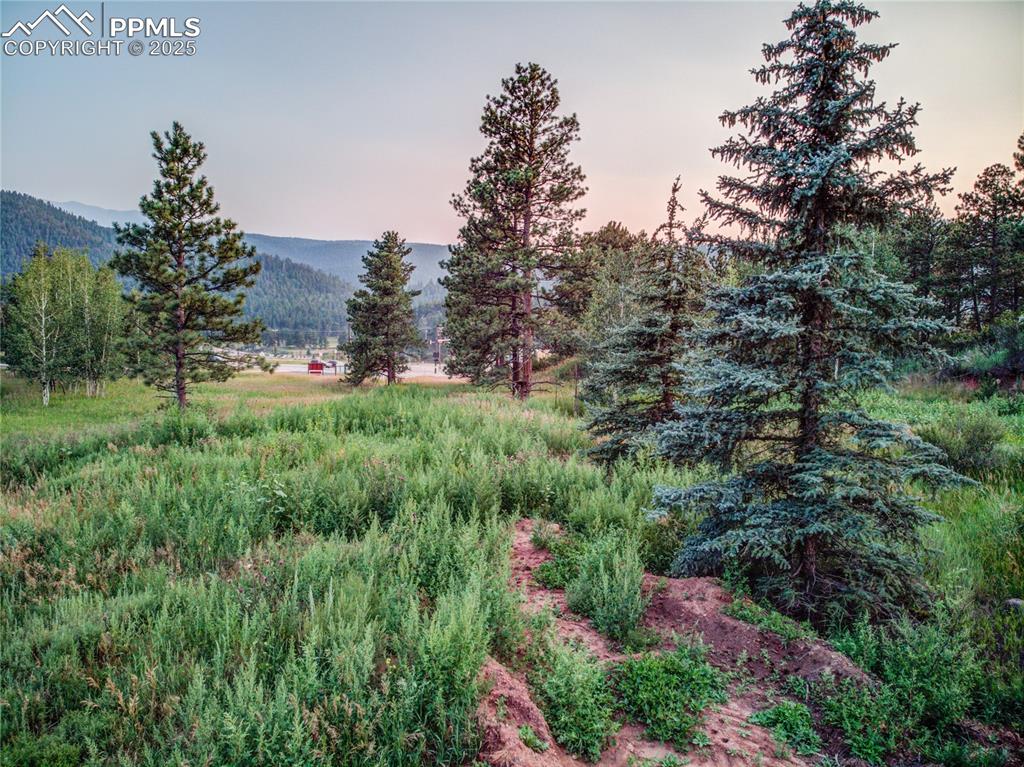 Image 19 of 22: View