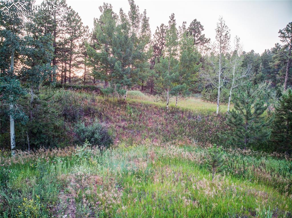 Image 20 of 22: Other