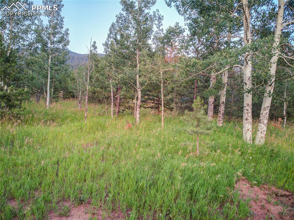 Image 21 of 22: Other