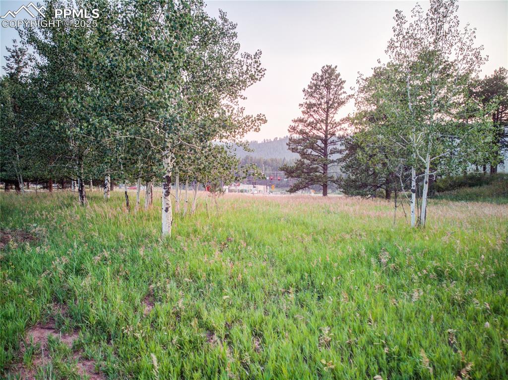 Image 22 of 22: Yard