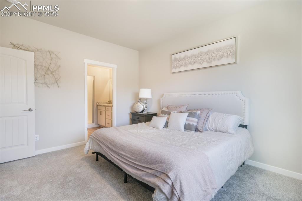 Image 20 of 50: Other