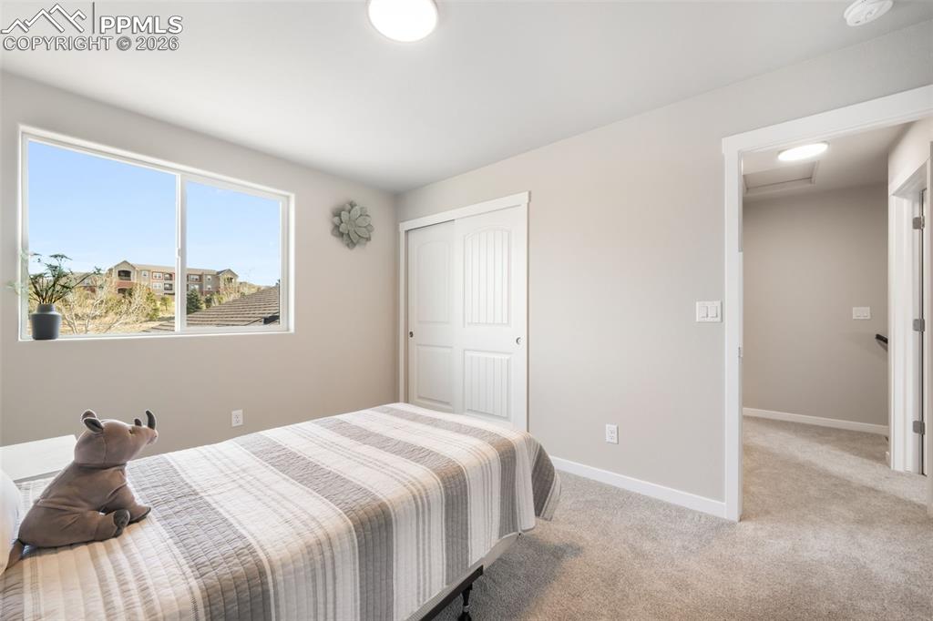 Image 33 of 50: Other