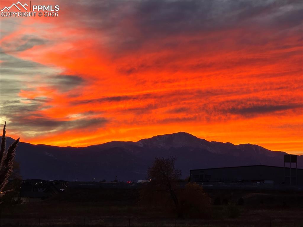 Image 3 of 22: From back yard