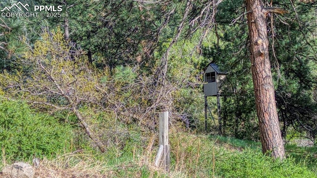 Image 35 of 36: Other