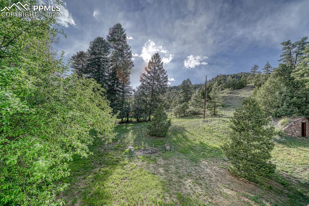 Image 40 of 45: Backyard with National Forest