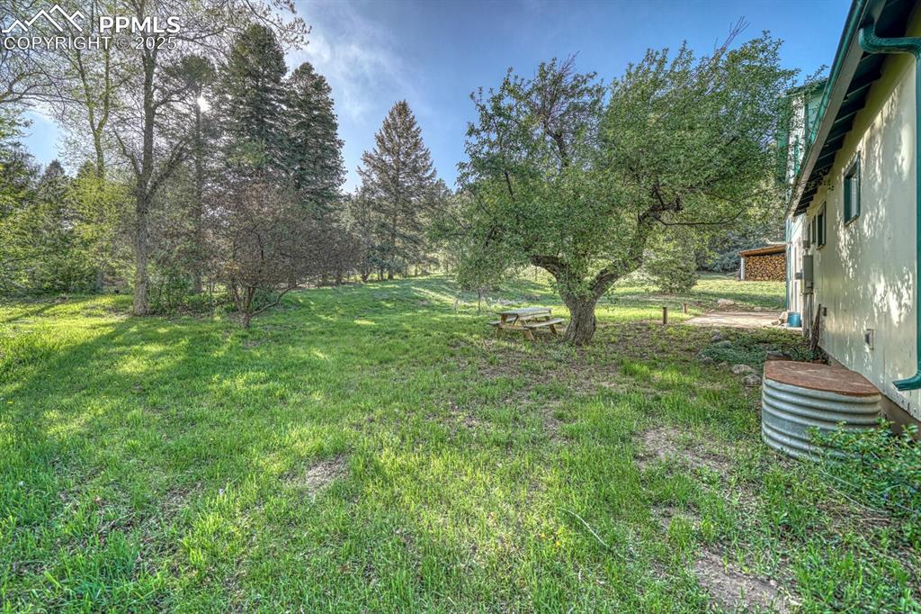 Image 41 of 45: Yard