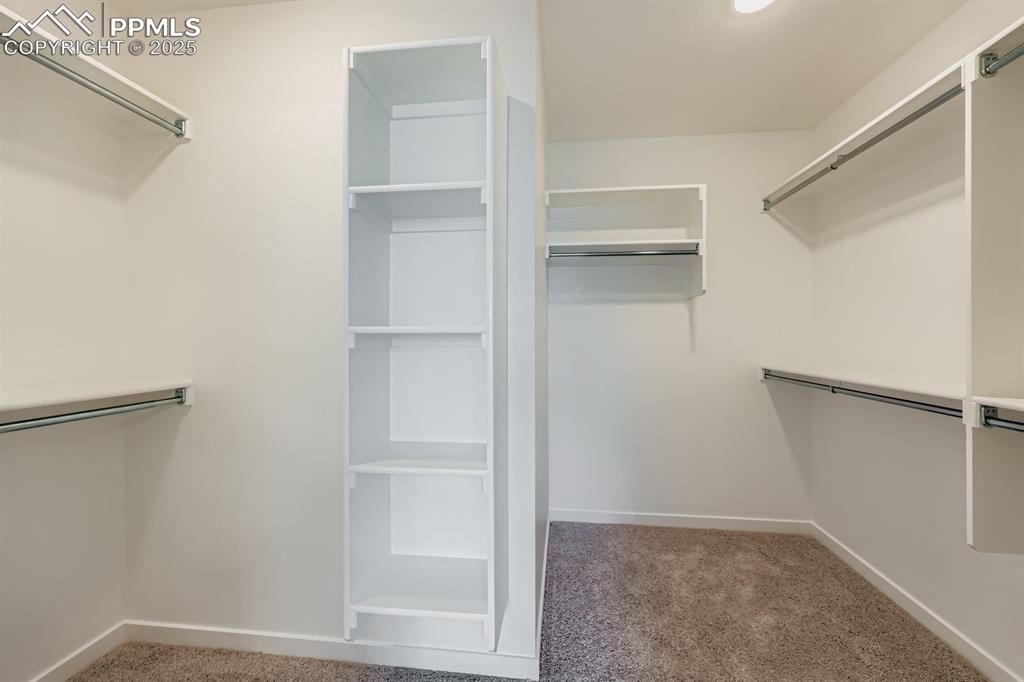Image 19 of 28: Spacious closet with carpet