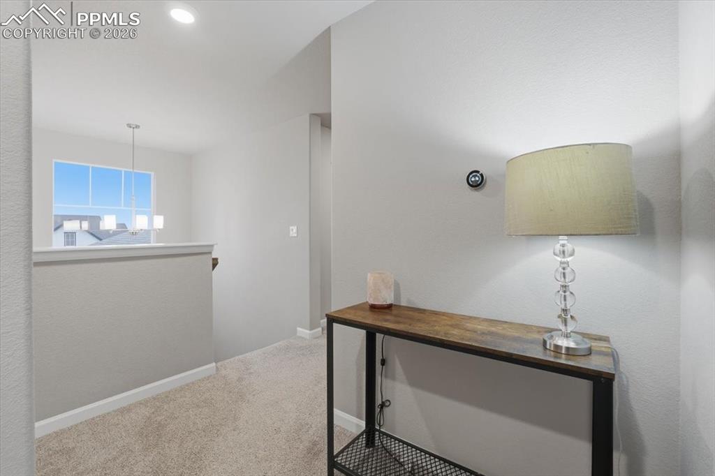 Image 43 of 50: Other