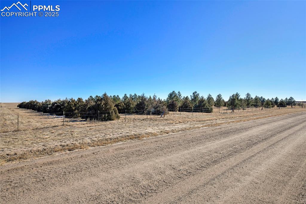 Image 41 of 46: Beautiful treed lot!