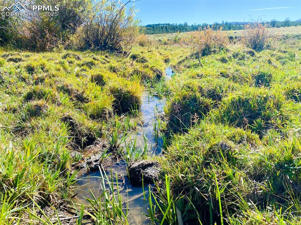 Image 3 of 10: Aerial View