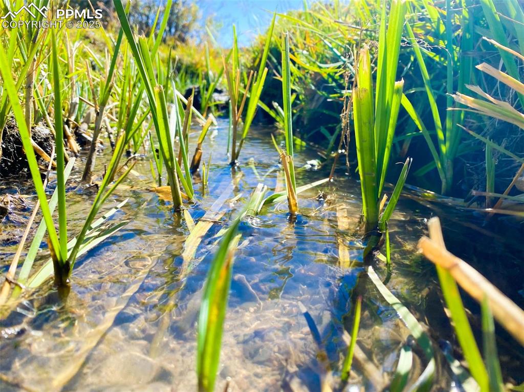 Image 5 of 10: Other