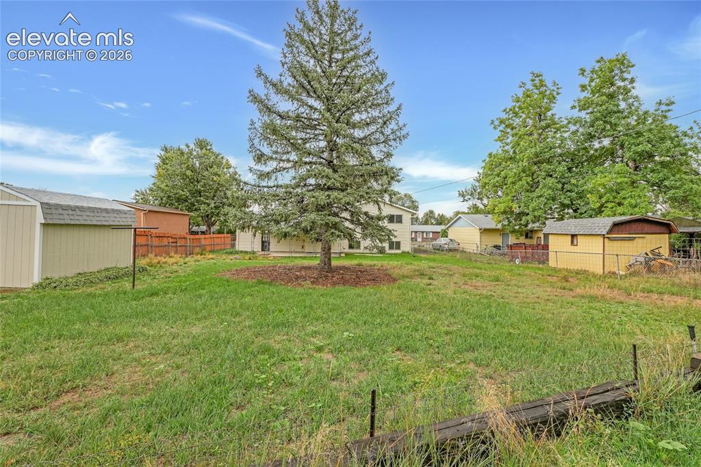 Image 27 of 29: Expansive grassy yard featuring a large evergreen tree and two sheds with s
